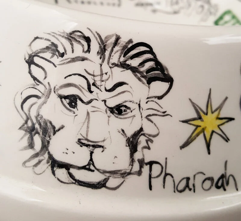 Cirque-Paris-lion5.jpg