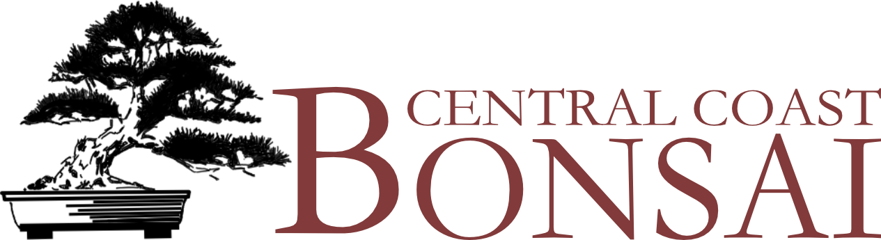 Central Coast Bonsai Club Inc.