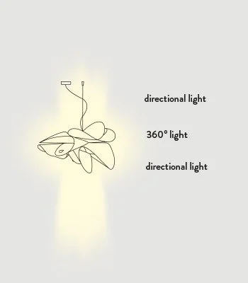 389914.jpg