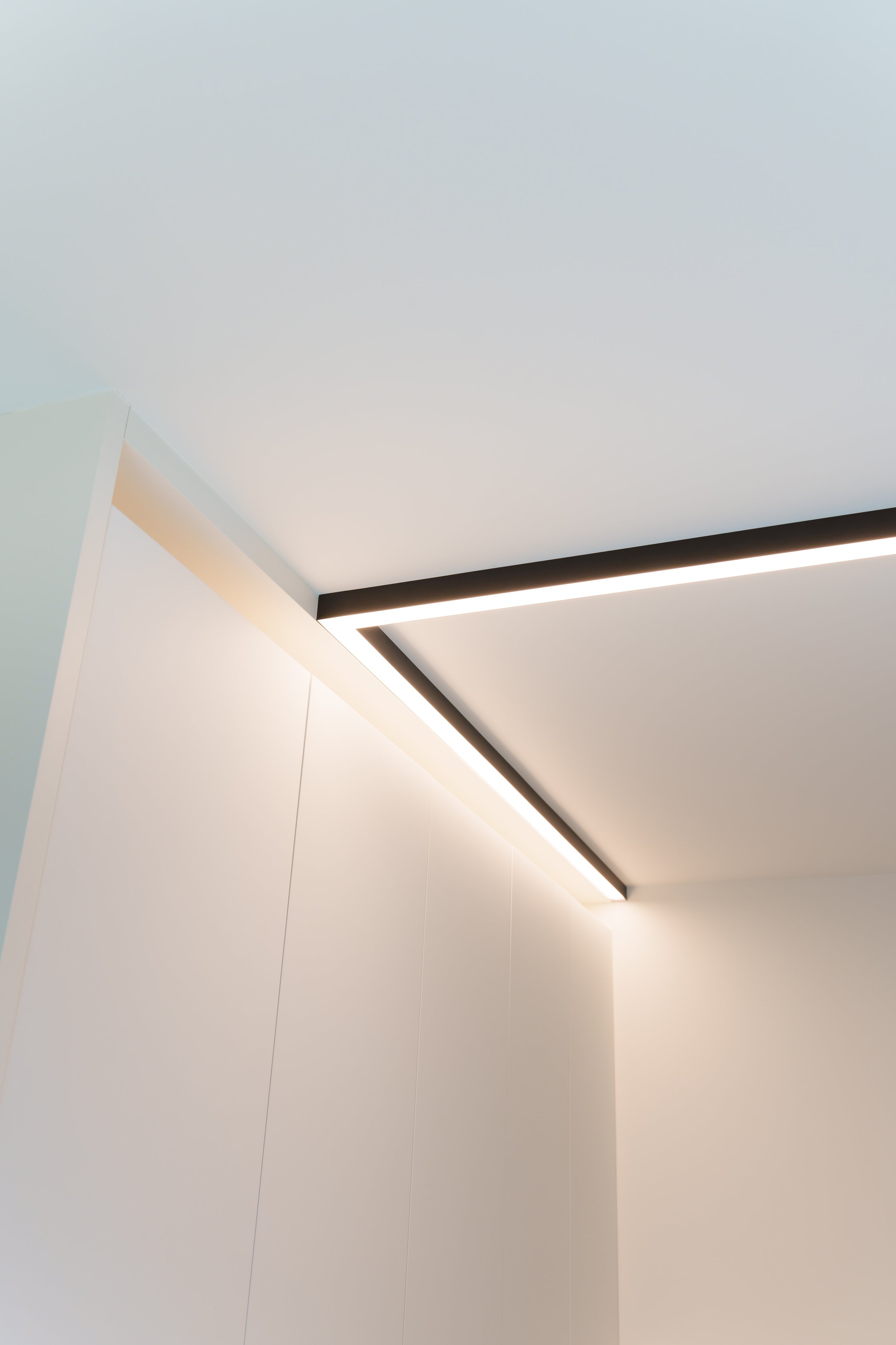 SPECTRUM_Project-dv_Light (7).jpeg