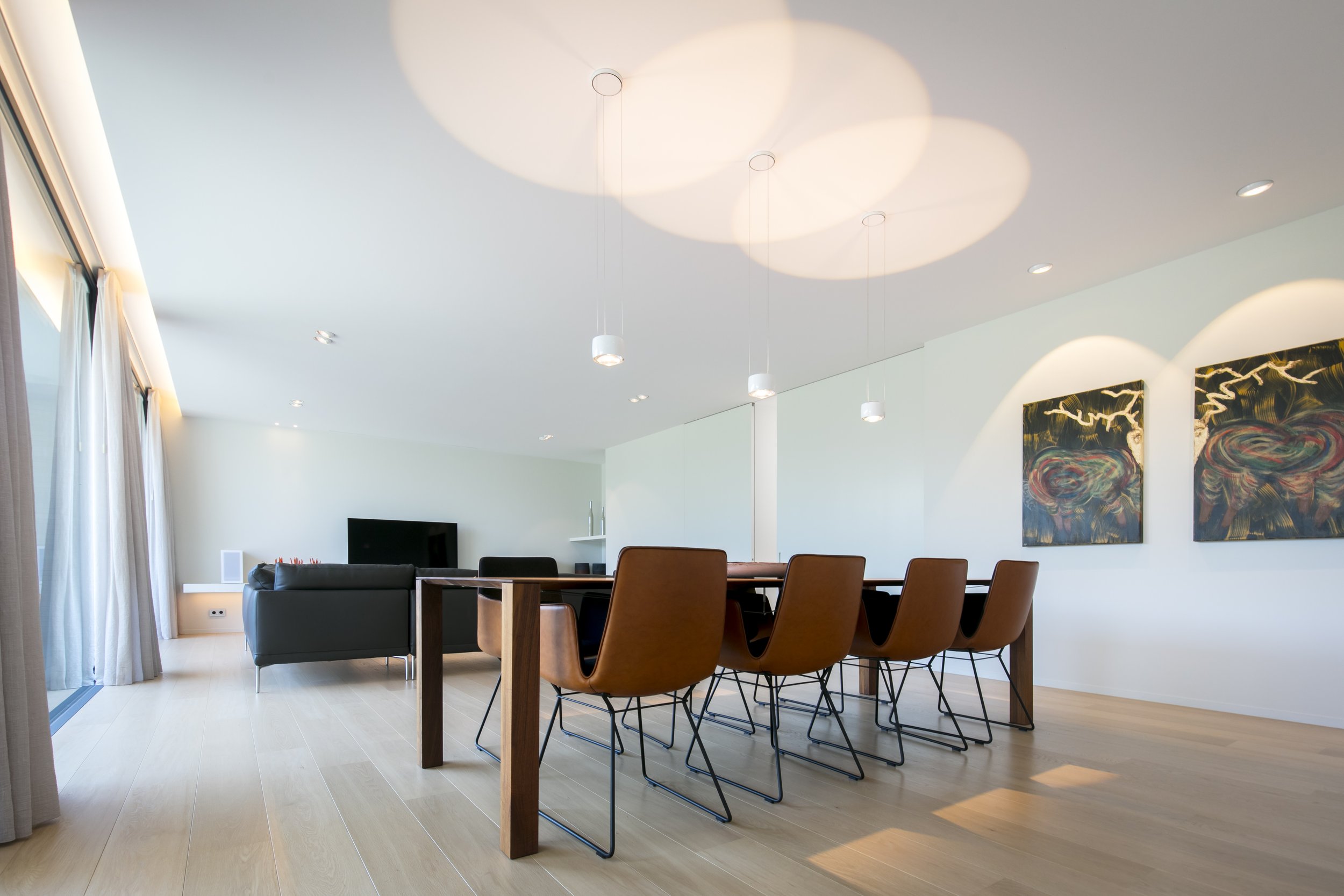SPECTRUM_LIGHT_PROJECT_PF_LIVING (2).jpg
