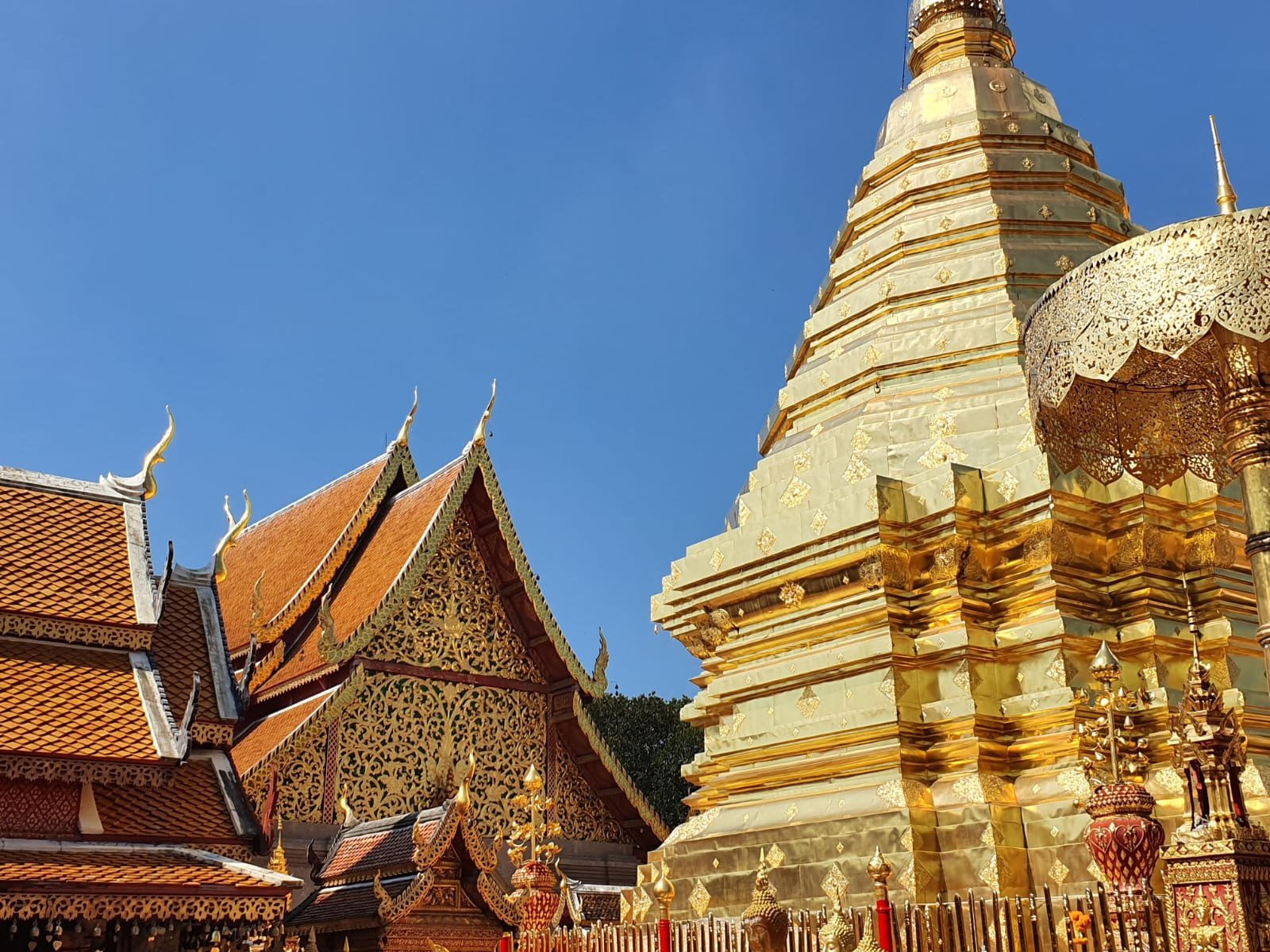 thai temple.jpg