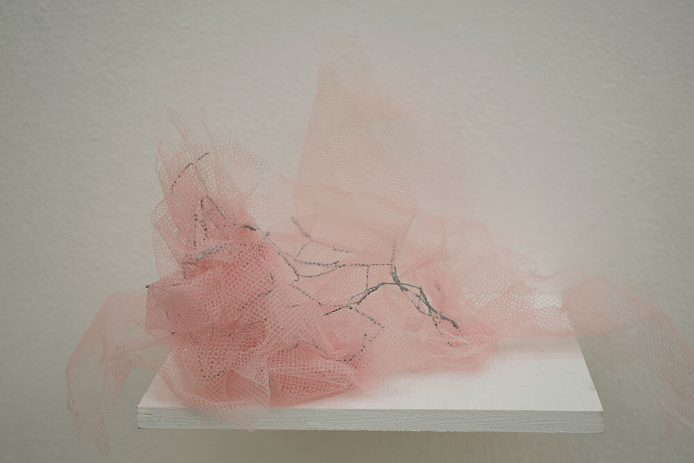 "Kakadu", Ruth Wiesenfeld