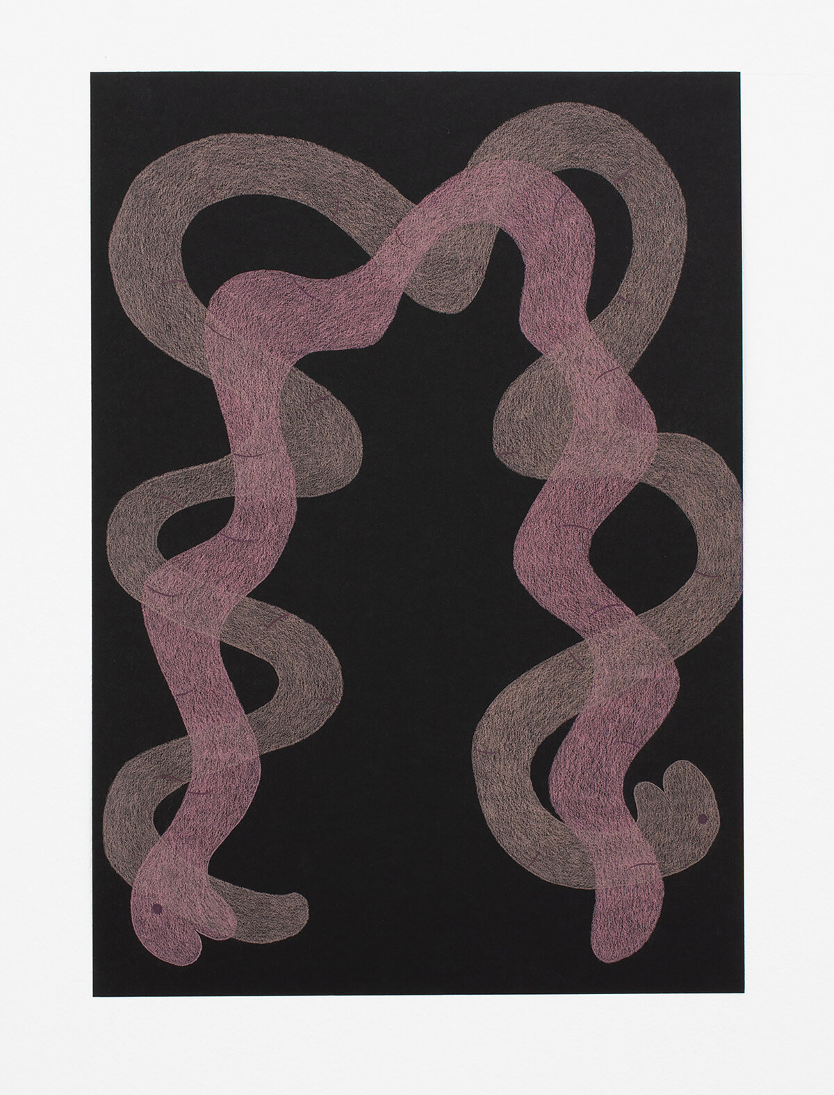 Jessica Groome, drawing from the series Worry Worms, coloured pencil on black paper, 30 x 42 cm, 2020 - 2021