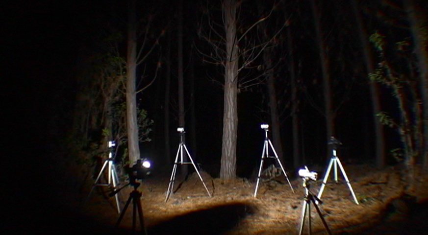 Nicolás Rupcich: AUTOMATIC, 2006, 40 sec