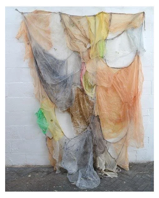 13a Liz Elton Bound bio material veg dyes from food waste soil seeds of edible wild plants 300x200cm small file.jpg
