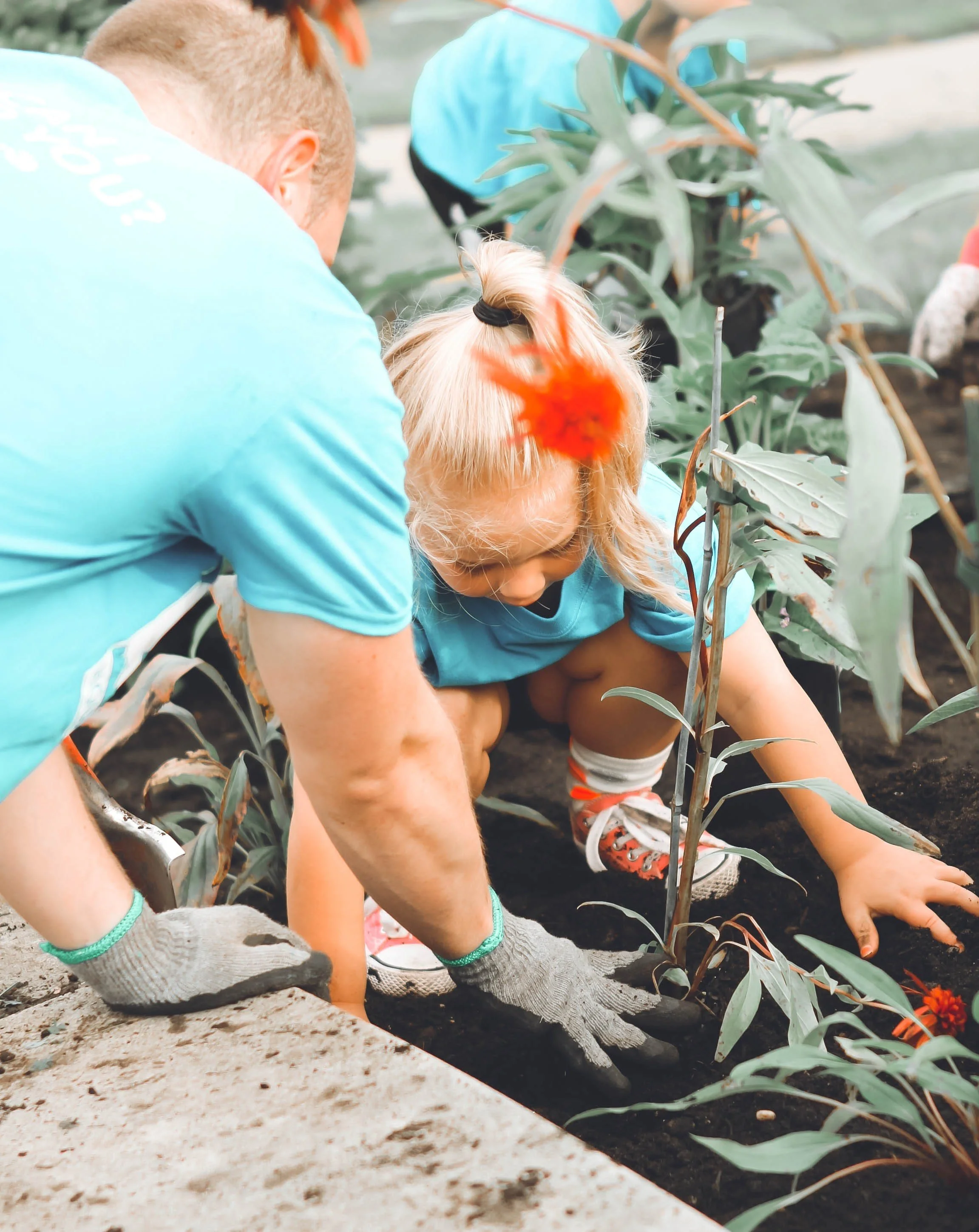 Help us Plant A Seed!