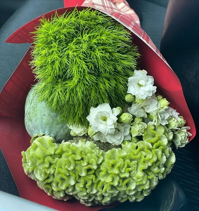 TITOLO: FLOWER OBSESSED
Continuo a pensare che non esista regalo pi&ugrave; bello di un mazzo di fiori. .
.
.
#festadellarepubblica #fiori #adoro #flowerobsessed #2giugno #carpeflorem #tagliuno