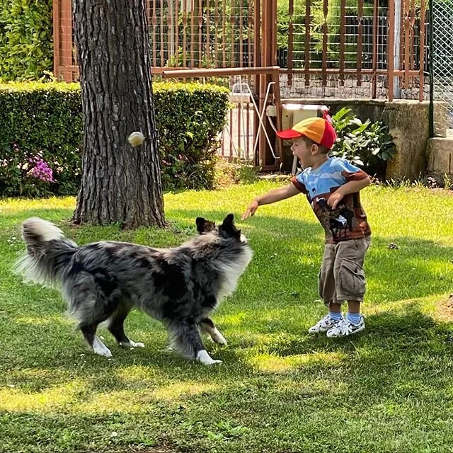 TITOLO: UN CANE PER AMICO 
I cani sono creature straordinarie e meravigliose! 🐕 .
.
.
.
#elia #amoregrande #playing #mirto #happy #giocare #bimboecane #lovedog #pupoy