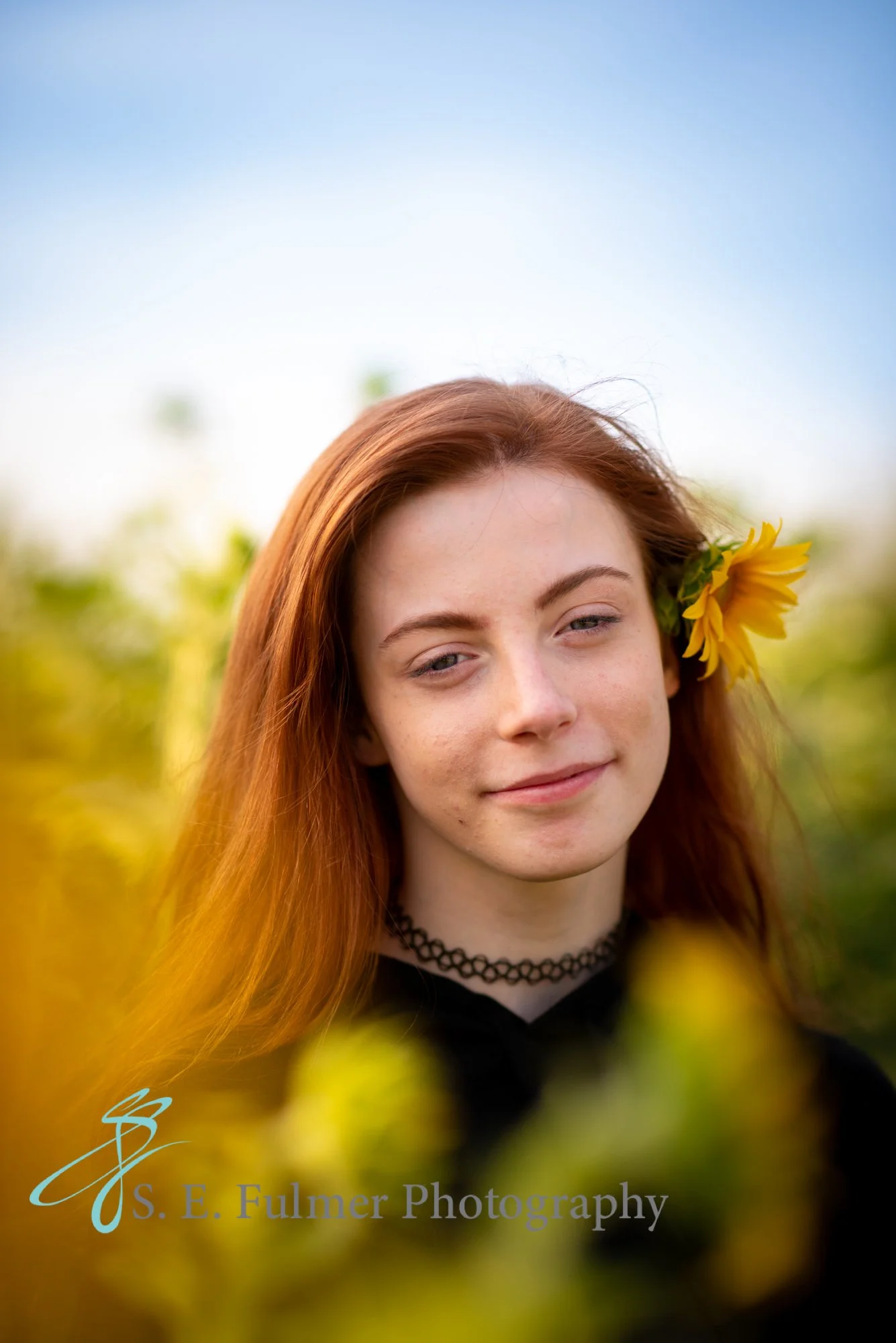 High school senior, Grand Blanc, MI. Young woman with red hair in a sunflower field.