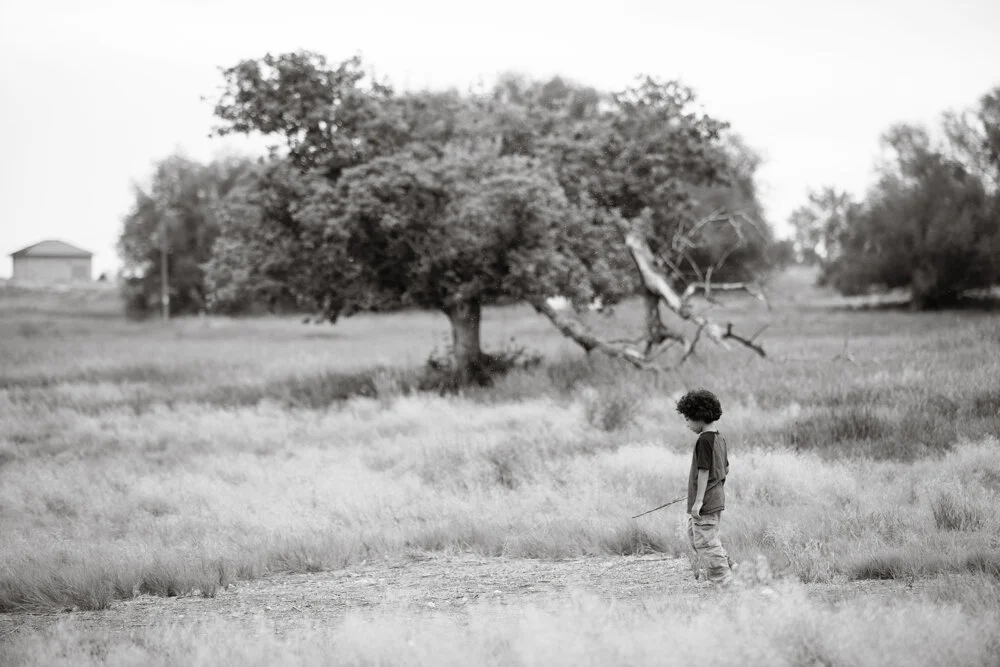 Boulder-family-photographer-evie-photography-1025.JPG