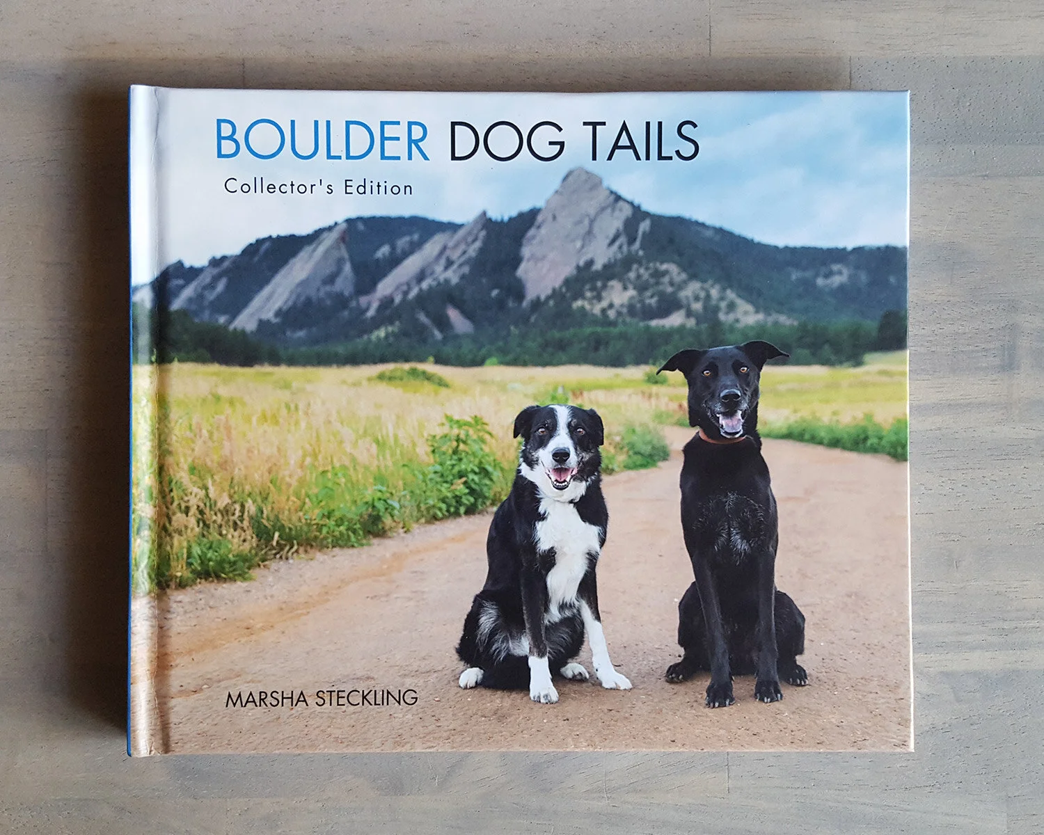 Boulder-Dog-Tails-Book.jpg