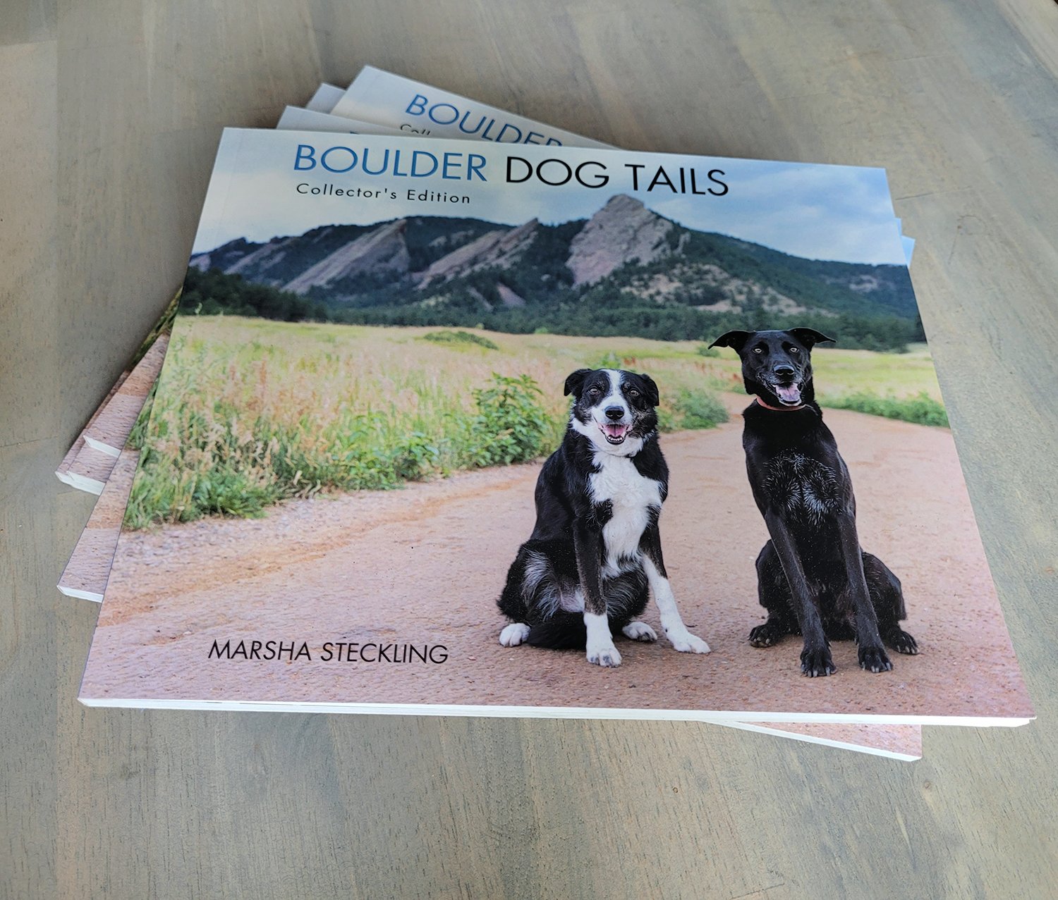 Boulder Dog Tails by Marsha Steckling | Boulder, CO | Dog Photography