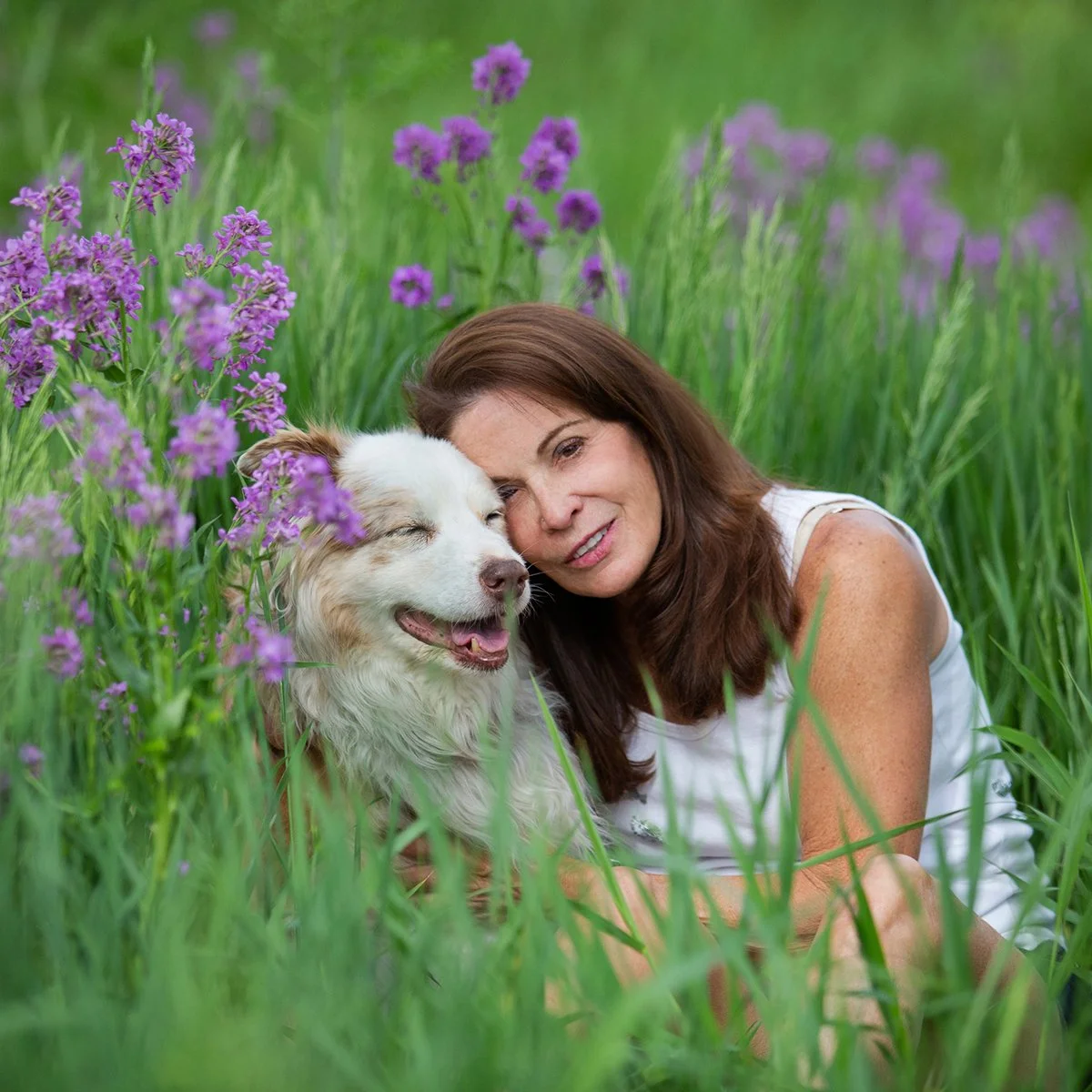 boulder-pet-photographer-evie-photography-2045-2.jpg