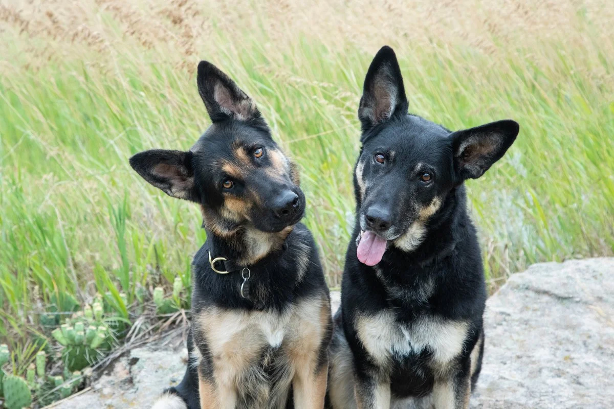 The Year in Review -2025