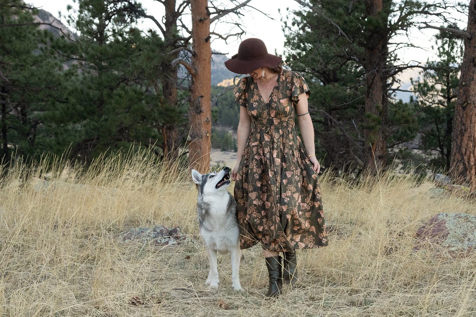 dog and person walking together in mountains in boulder colorado