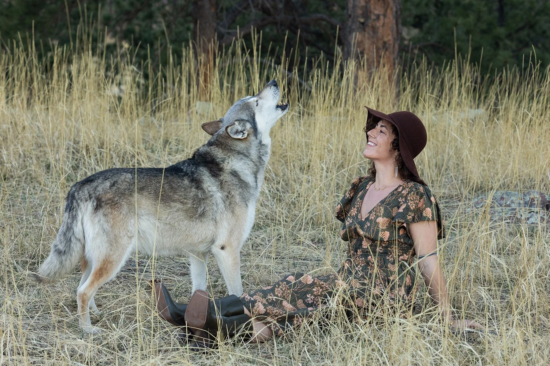 wolf dog howling while person smiles in tall grass in boulder colorado