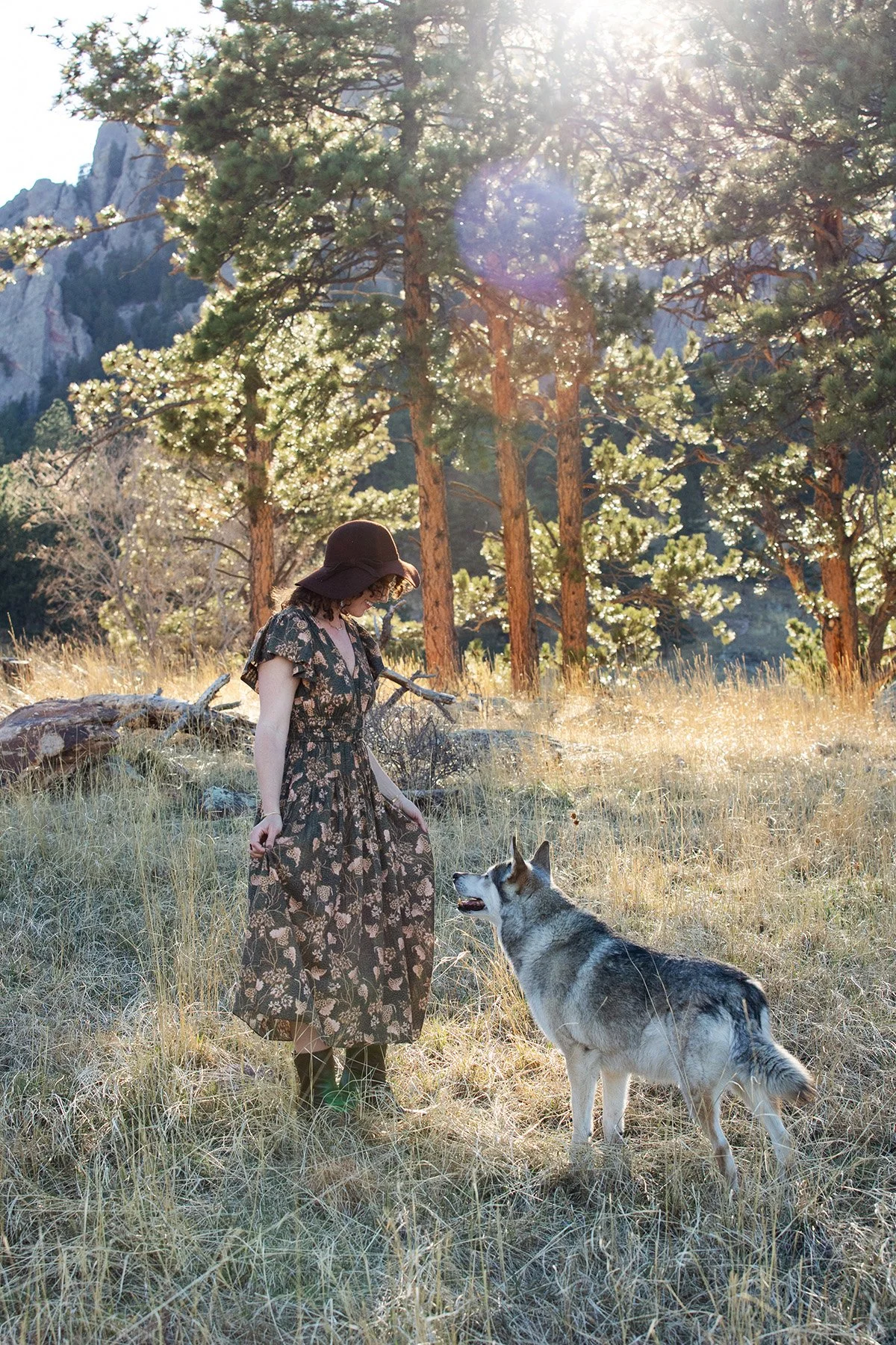 dog and human looking at each other with sun beams and trees in boulder colorado