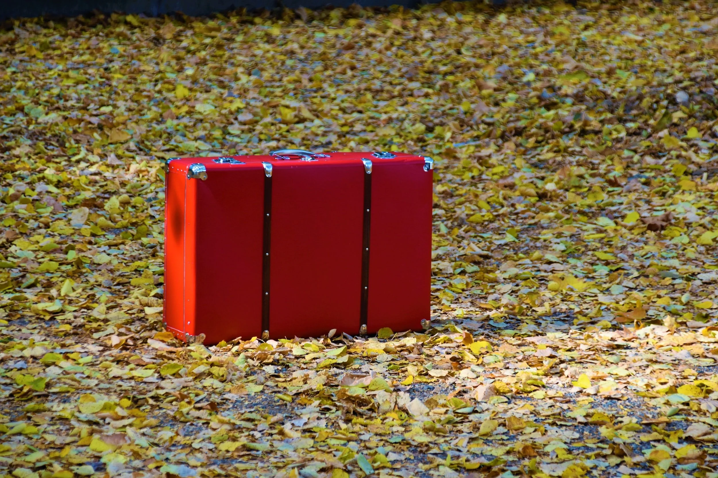 11.27.22 | "Leave Your Baggage Behind"         
