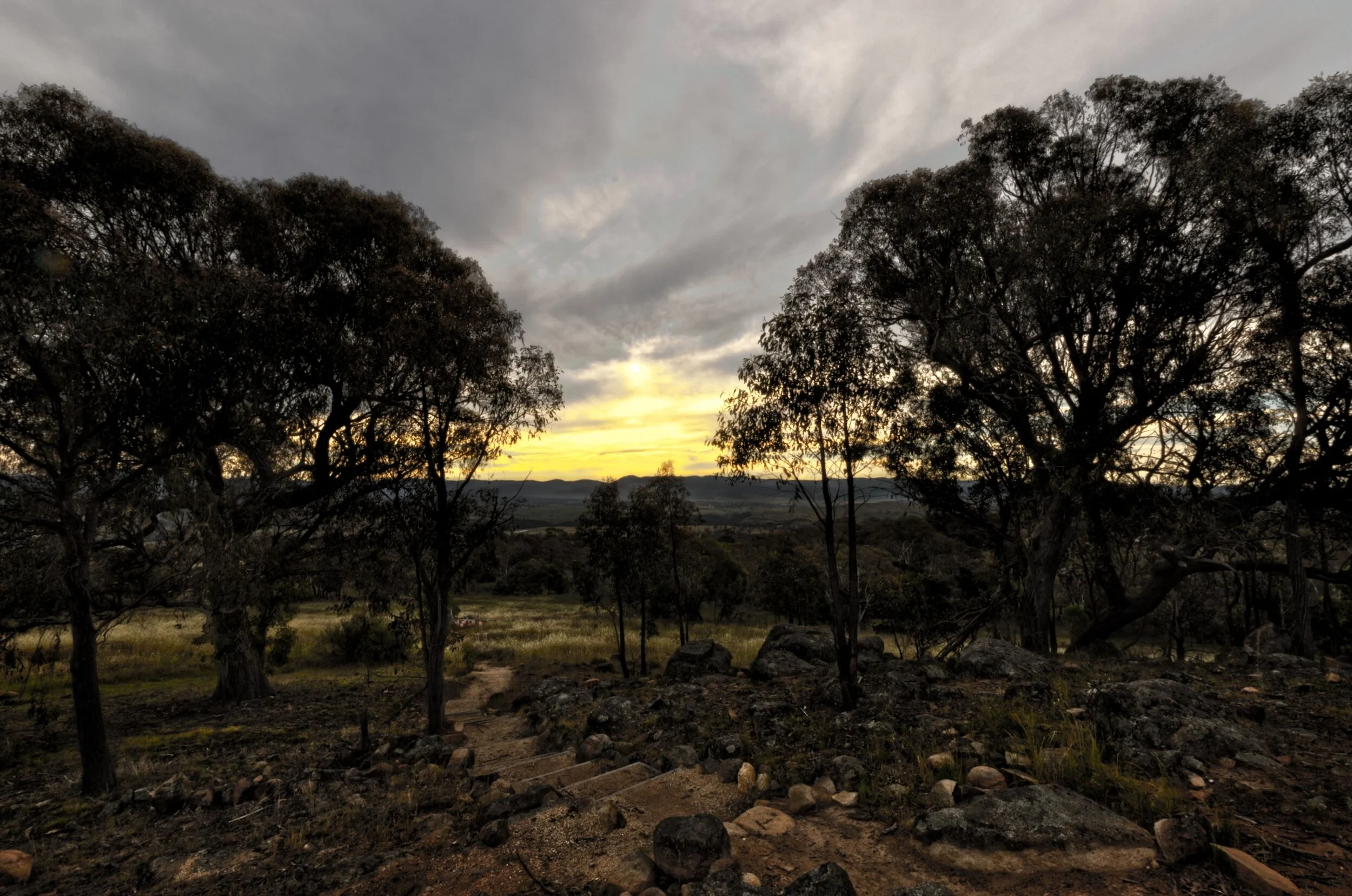 07.23.23 | "Busted Caught In the Act"               