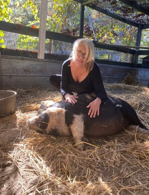 Getting Ready for Piglets.jpg