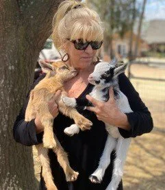 baby goats.jpg