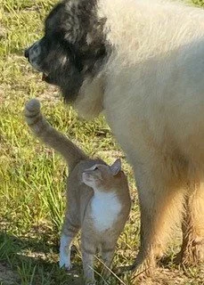 Kobe and Fred.jpg