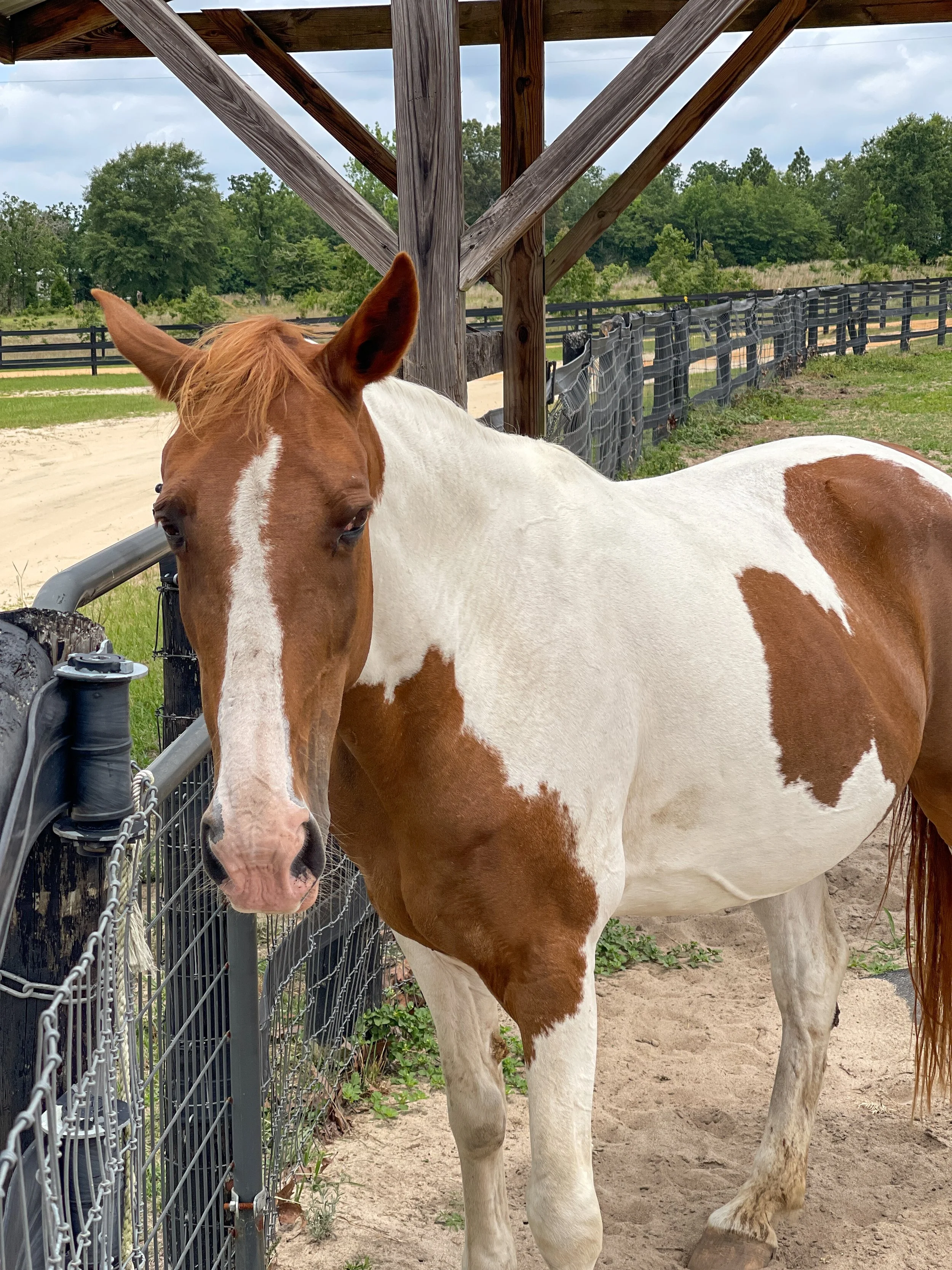 The Ranch-10.jpg