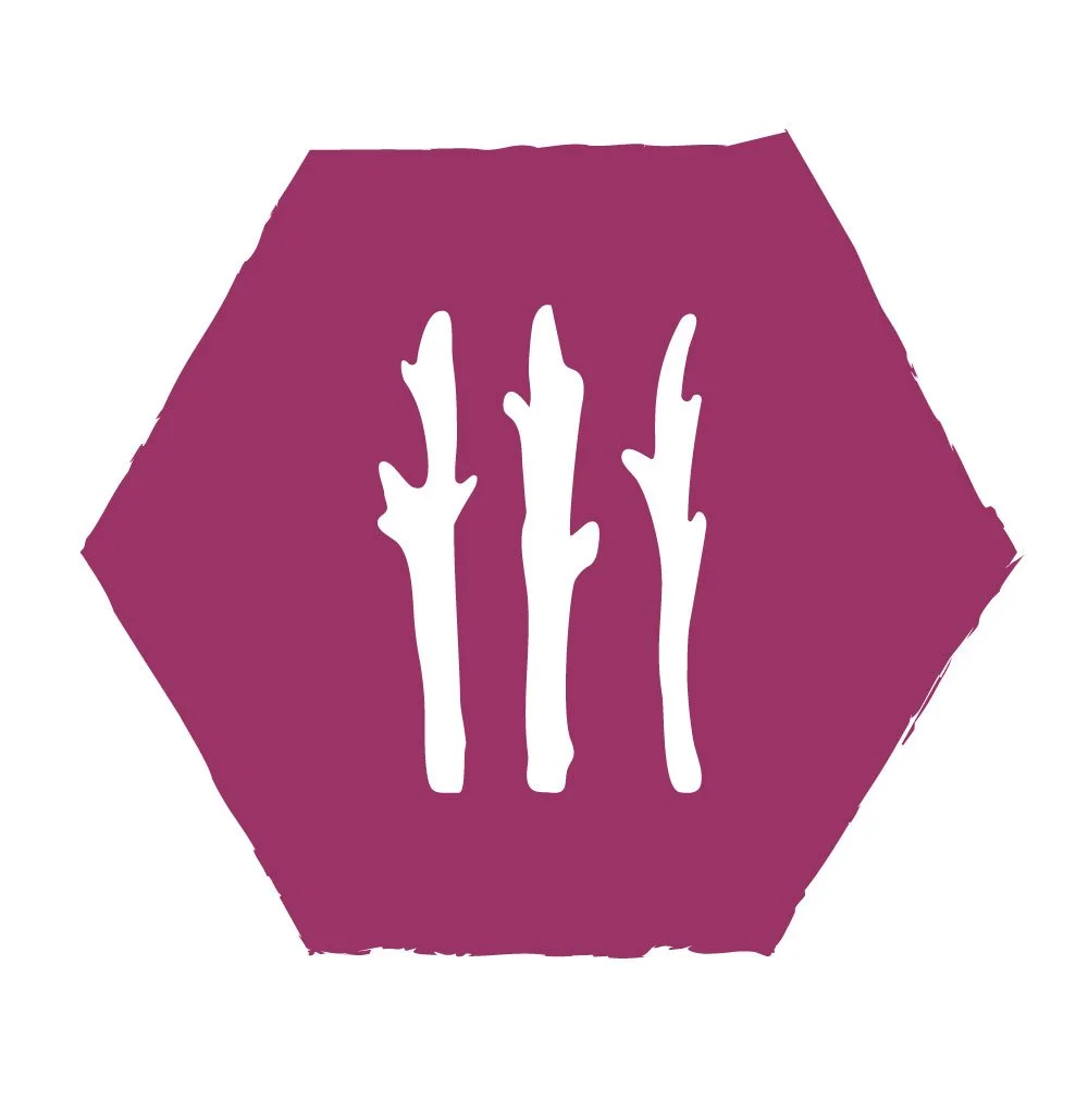 RECALIBRATION - Forest Bathing, Yoga, Mindfulness, Owning Our Creativity