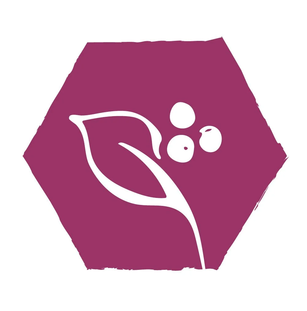 SEASONAL FEAST Nomadic Dining, Cooking Over Fire, Foraging  