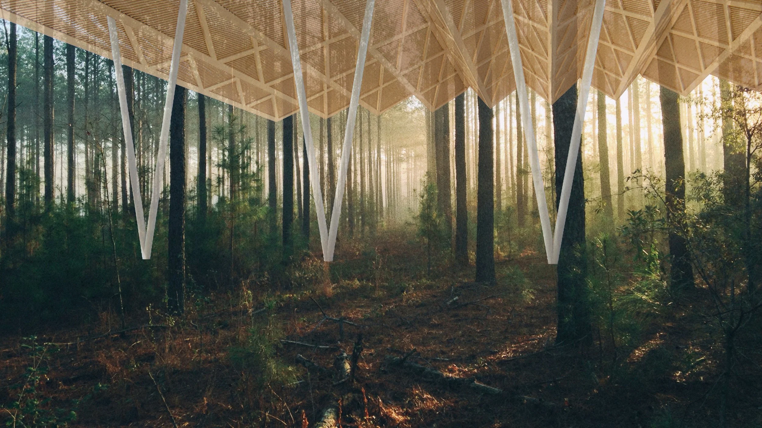 Roof Concept Development - II.jpg