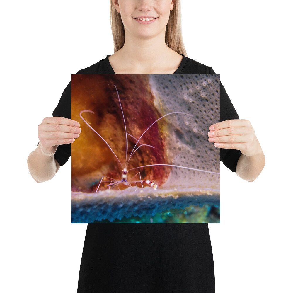 enhanced-matte-paper-poster-(in)-14x14-person-612559e81d9af.jpg