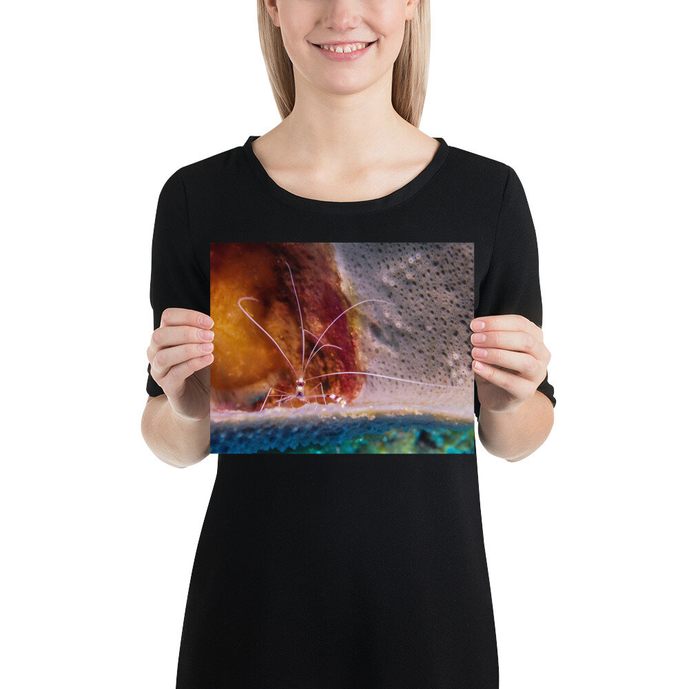 enhanced-matte-paper-poster-(in)-8x10-person-612559e81dd84.jpg