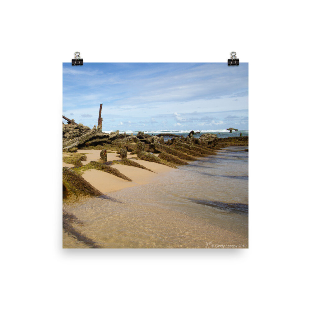 enhanced-matte-paper-poster-(in)-10x10-transparent-61255cad00ee0.jpg