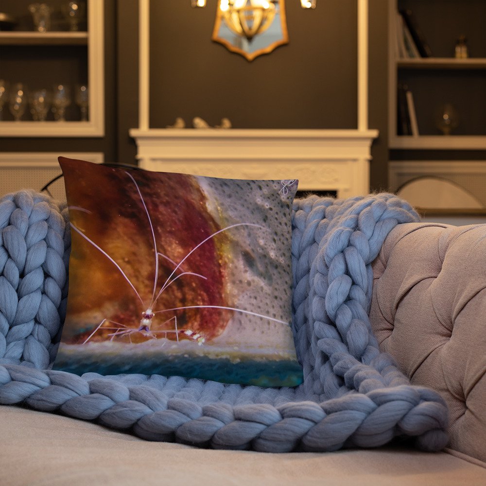 all-over-print-basic-pillow-18x18-front-lifestyle-3-618f9936d8c11.jpg