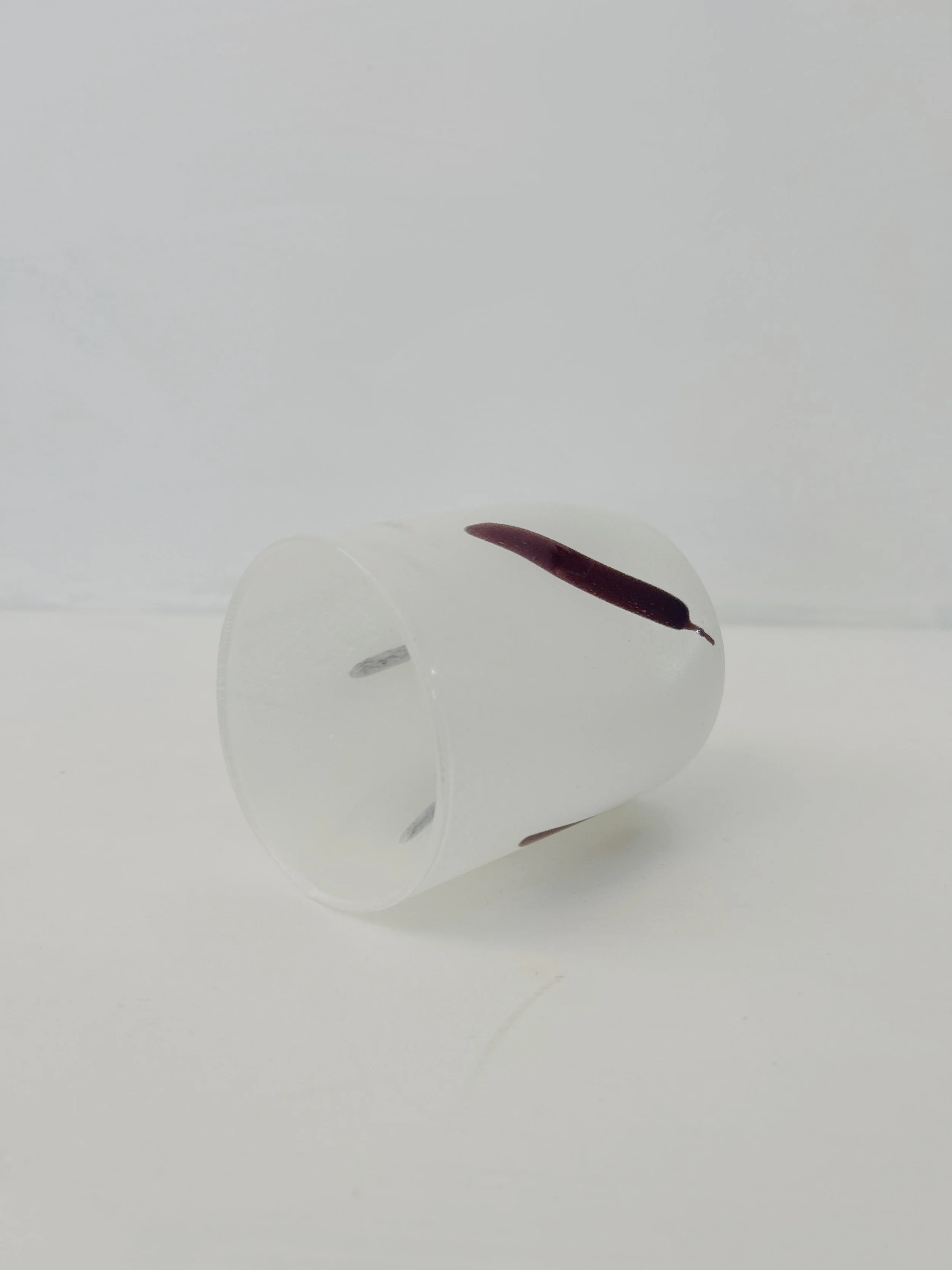 7C1D24E7-1AB4-428A-AE9C-7EC1316CBD29.JPG