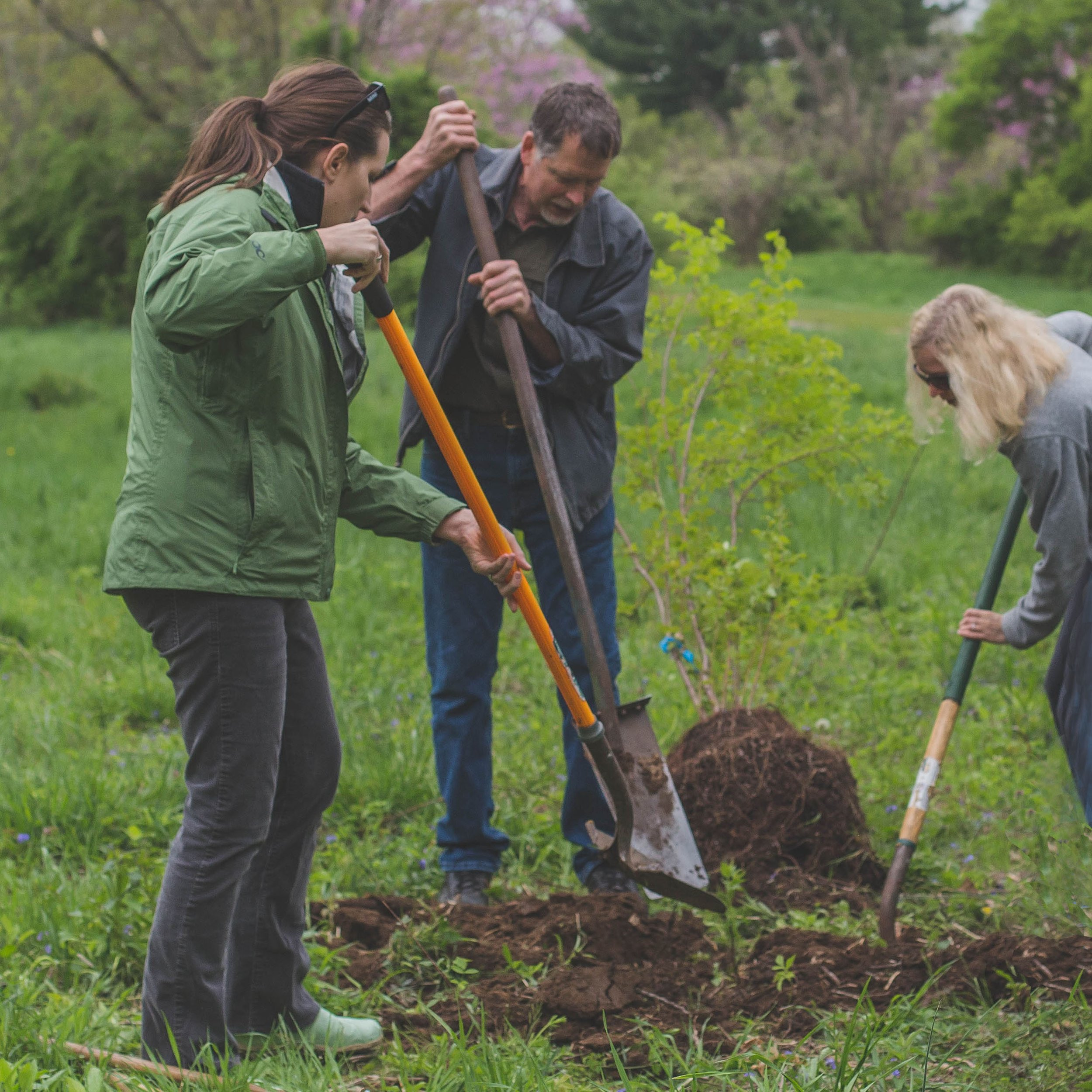 Arbor Day Tree Planting 2.jpg