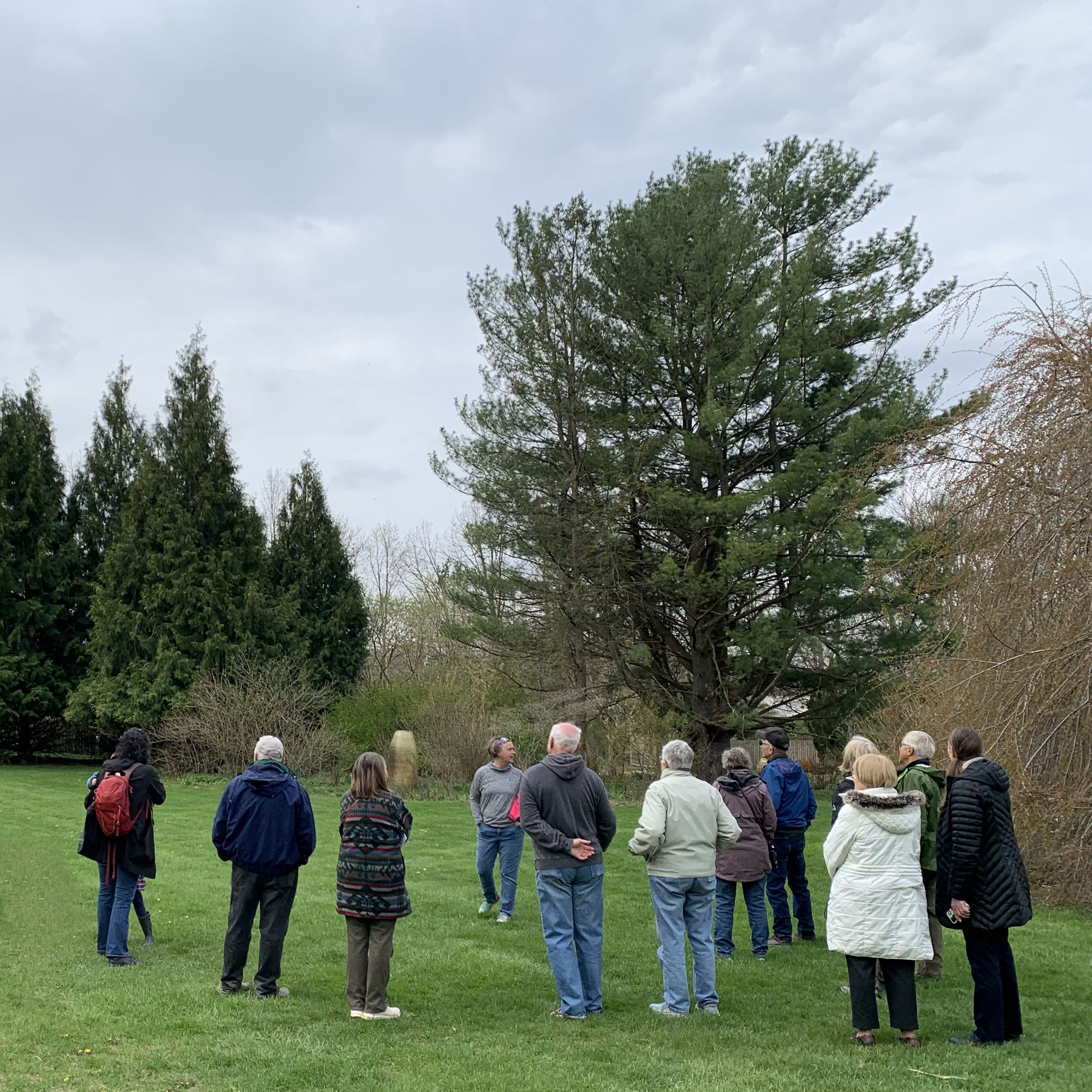 Arbor Day Tree Tour.jpg