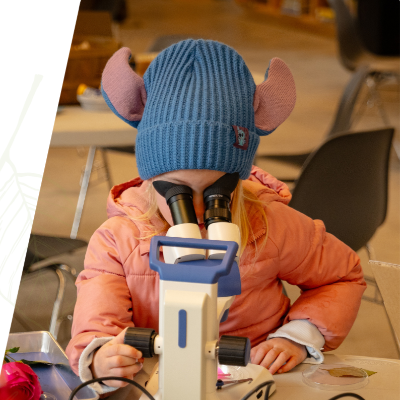 U.N. INTERNATIONAL DAY OF WOMEN  & GIRLS IN SCIENCE CELEBRATION