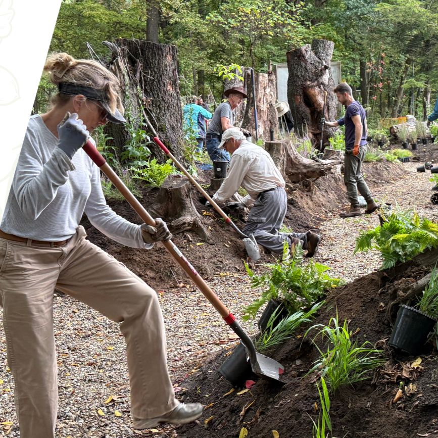 VOLUNTEER ORIENTATION