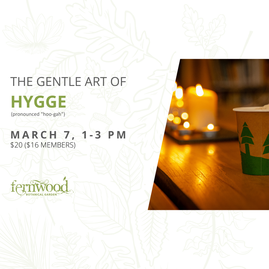 THE GENTLE ART OF HYGGE