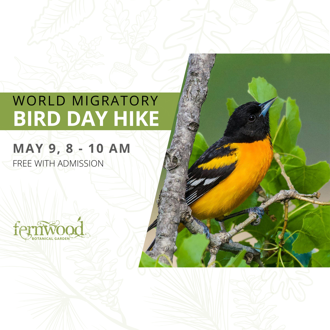 WORLD MIGRATORY BIRD DAY HIKE