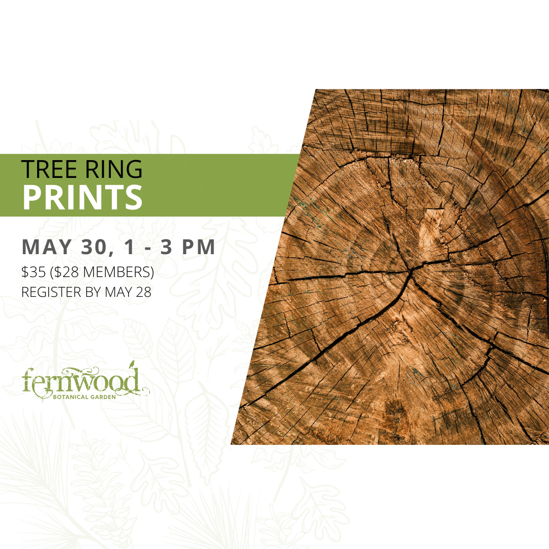 TREE RING PRINTS
