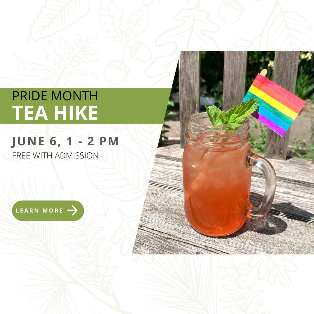 PRIDE MONTH - TEA HIKE