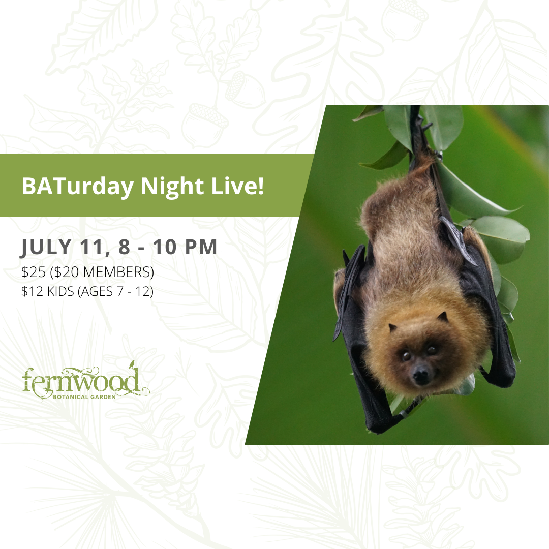 BATurday Night Live!