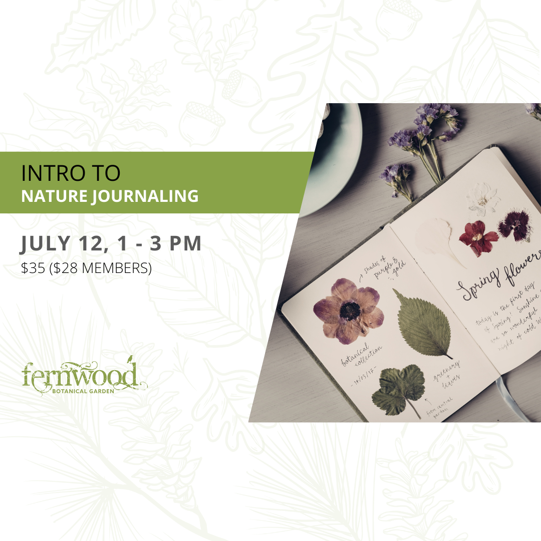 INTRO TO NATURE JOURNALING