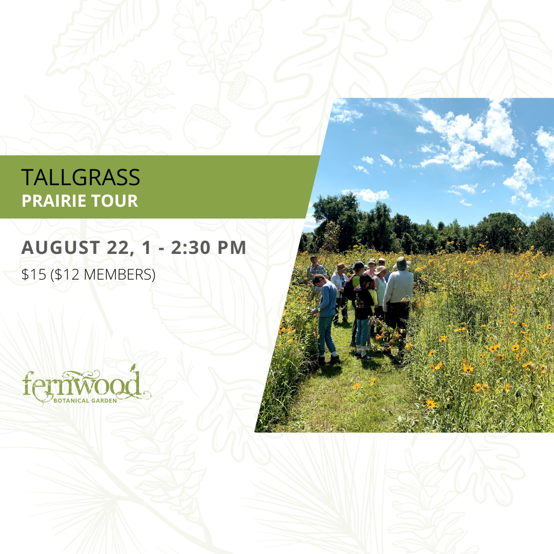 TALLGRASS PRAIRIE TOUR