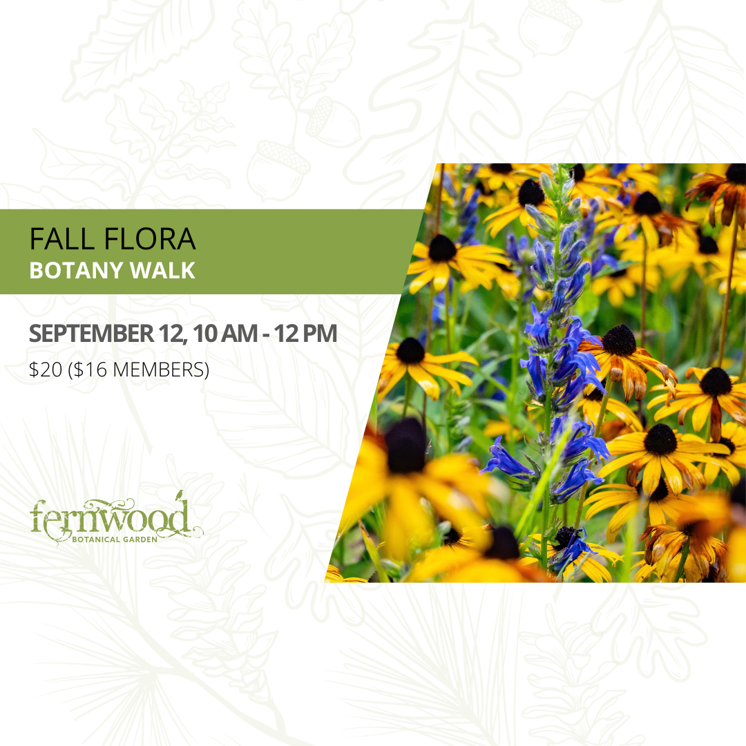 FALL FLORA BOTANY WALK