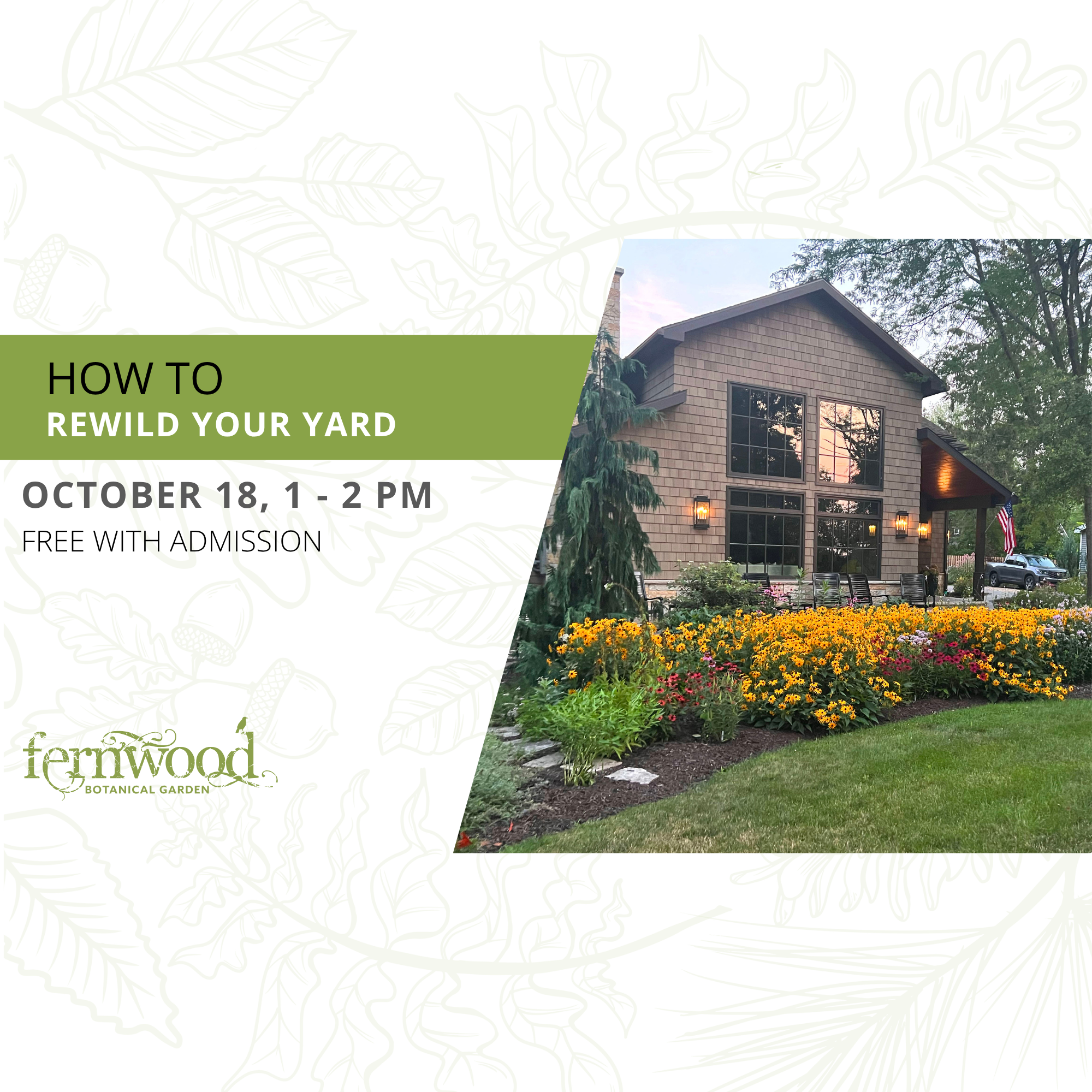 HOW TO REWILD YOUR YARD