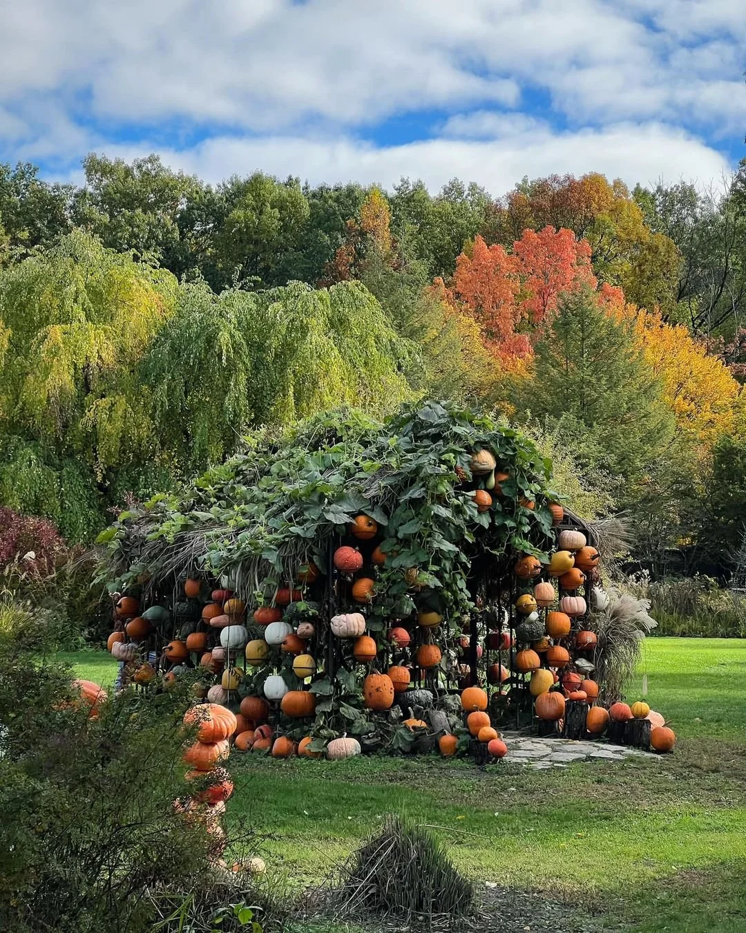 FERNWOOD FALL FESTIVAL